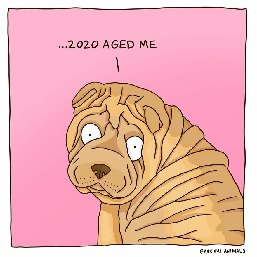 Artist Uses Animals In His Comics To Make Reflections On Life (60 Pics)