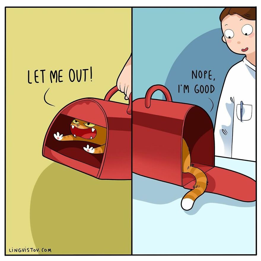 Comics That Those With A Cat Will Understand Perfectly (86 New Pics)