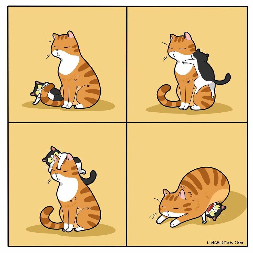 Comics That Those With A Cat Will Understand Perfectly (86 New Pics)