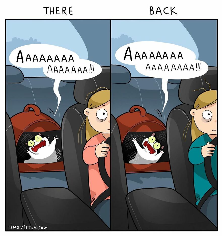 Comics That Those With A Cat Will Understand Perfectly (86 New Pics)