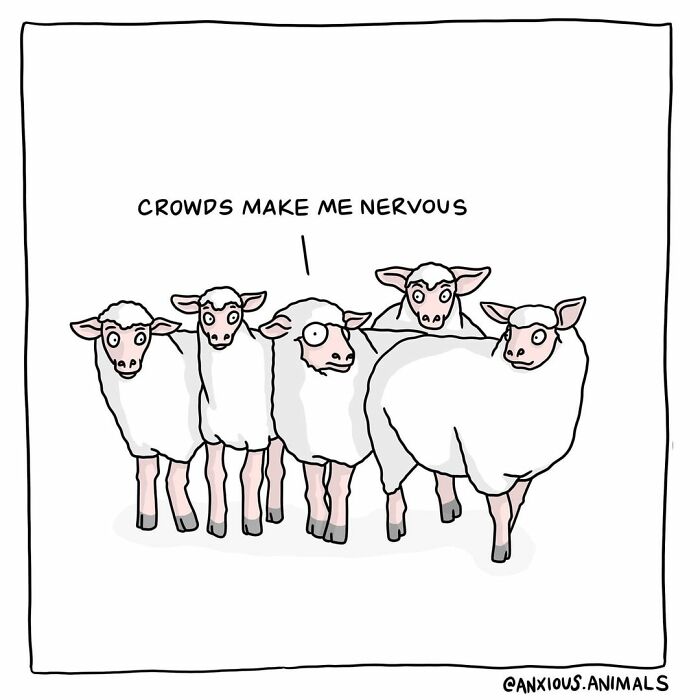 30 Funny And Relatable "Anxious Animals" Comics