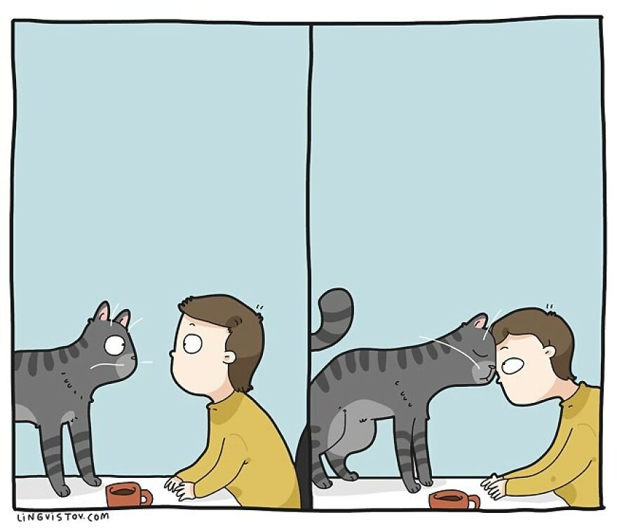 Comics That Those With A Cat Will Understand Perfectly (86 New Pics)