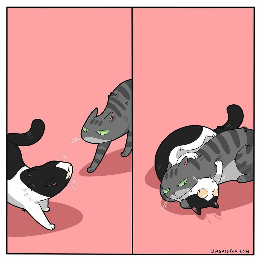 Comics That Those With A Cat Will Understand Perfectly (86 New Pics)