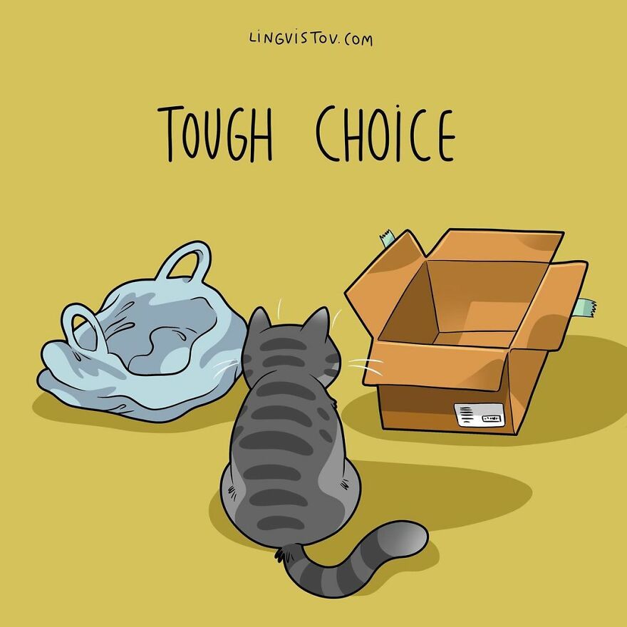 Comics That Those With A Cat Will Understand Perfectly (86 New Pics)