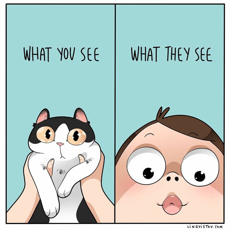 Comics That Those With A Cat Will Understand Perfectly (86 New Pics)