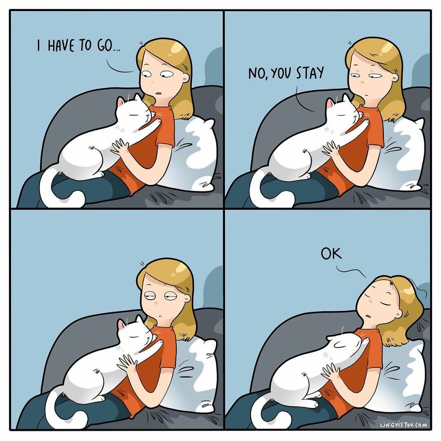 Comics That Those With A Cat Will Understand Perfectly (86 New Pics)