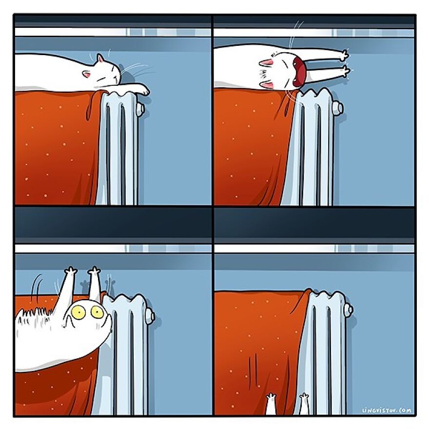 Comics That Those With A Cat Will Understand Perfectly (86 New Pics)