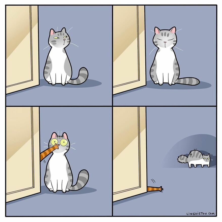 Comics That Those With A Cat Will Understand Perfectly (86 New Pics)