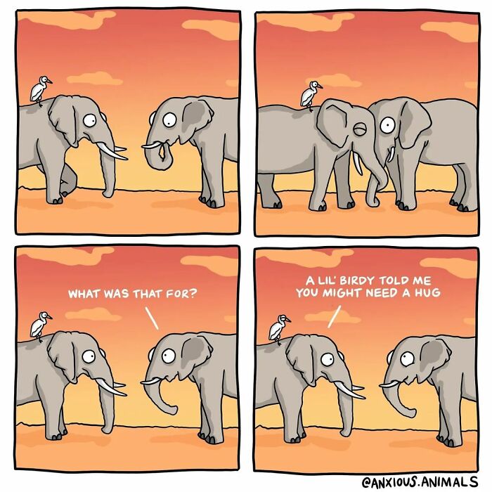 30 Funny And Relatable "Anxious Animals" Comics