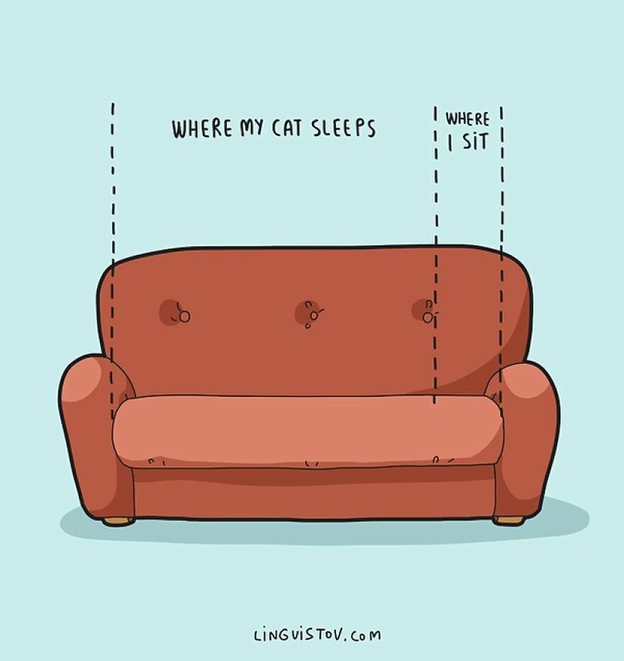 Comics That Those With A Cat Will Understand Perfectly (86 New Pics)