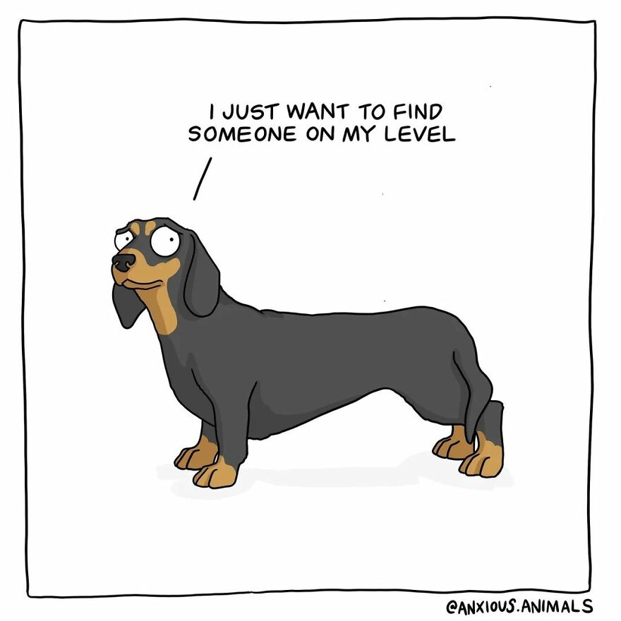 Artist Uses Animals In His Comics To Make Reflections On Life (60 Pics)