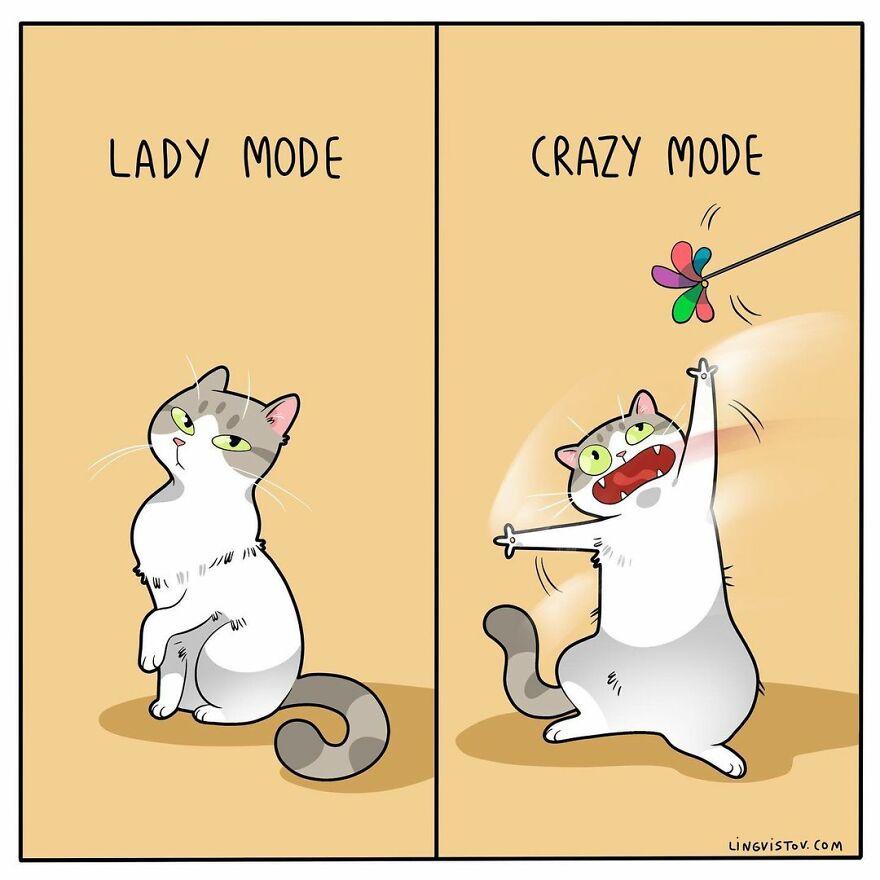 Comics That Those With A Cat Will Understand Perfectly (86 New Pics)