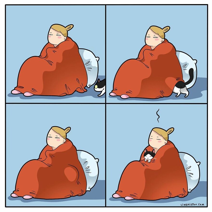 Comics That Those With A Cat Will Understand Perfectly (86 New Pics)