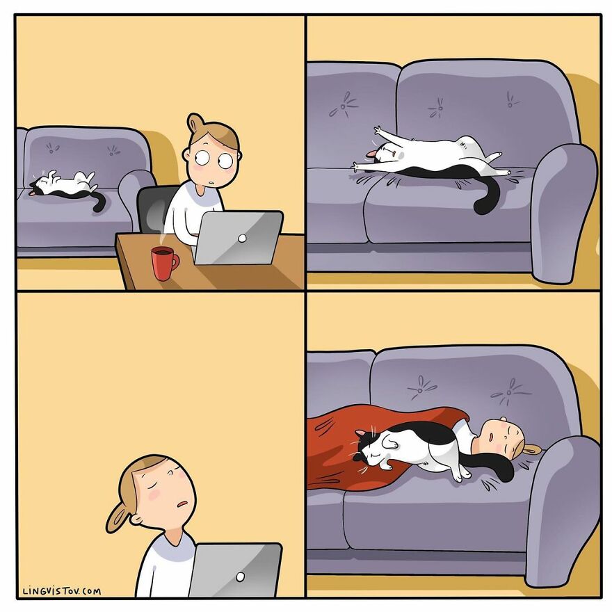 Comics That Those With A Cat Will Understand Perfectly (86 New Pics)