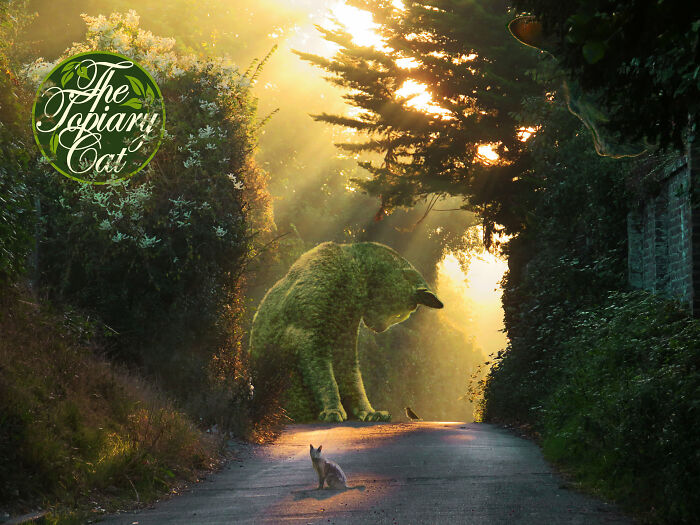 This 75-Year-Old Artist Creates Edits Of Bushes In Honor Of His Deceased Cat