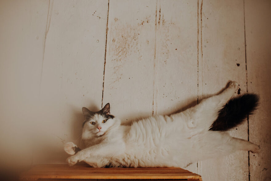 I Capture Beautiful Emotions Of My Two Favorite Models