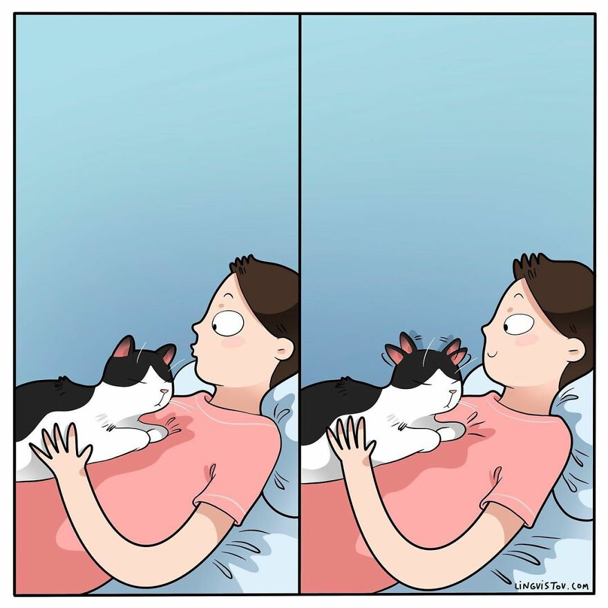 Comics That Those With A Cat Will Understand Perfectly (86 New Pics)