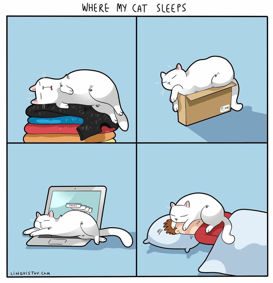 Comics That Those With A Cat Will Understand Perfectly (86 New Pics)