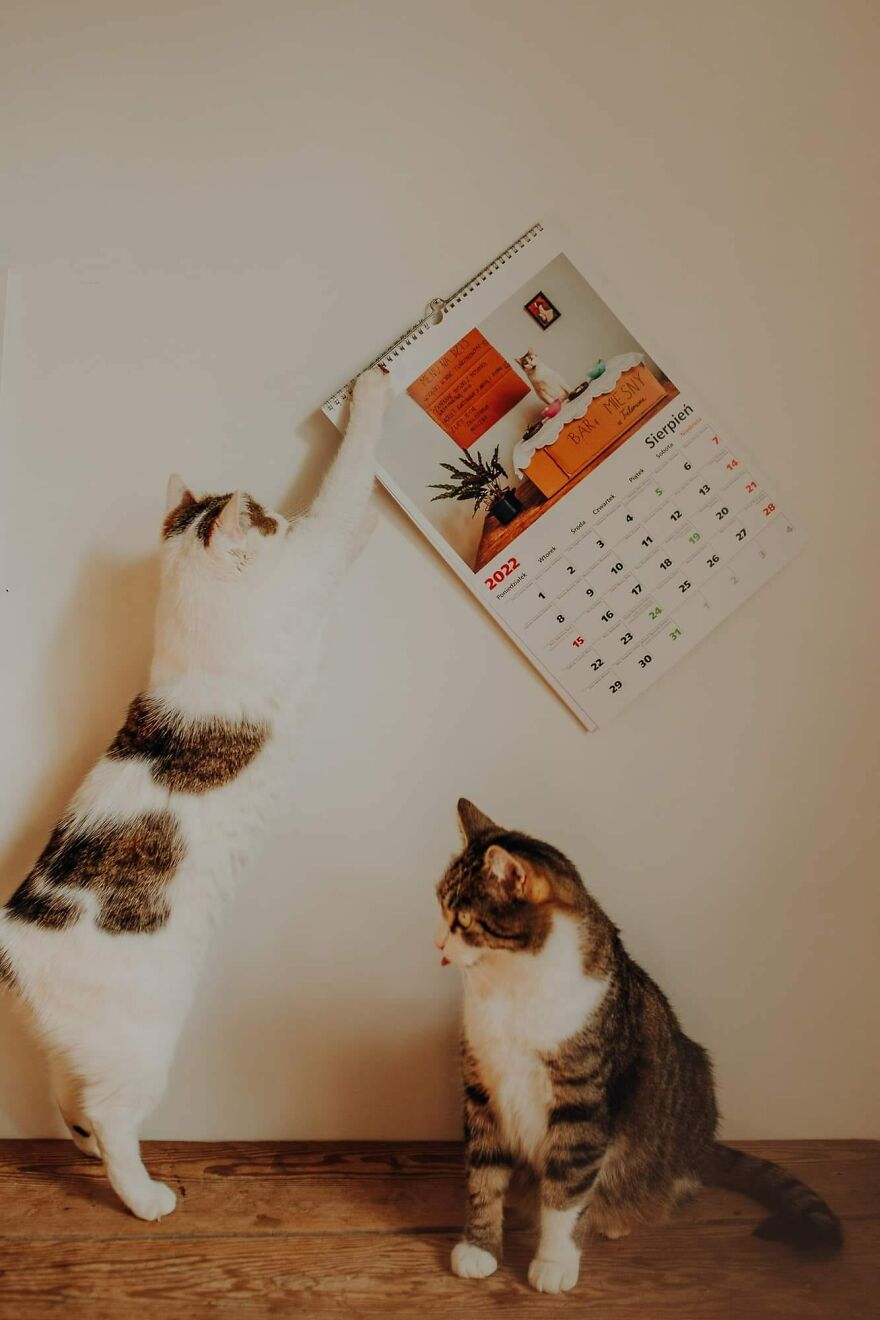 I Capture Beautiful Emotions Of My Two Favorite Models