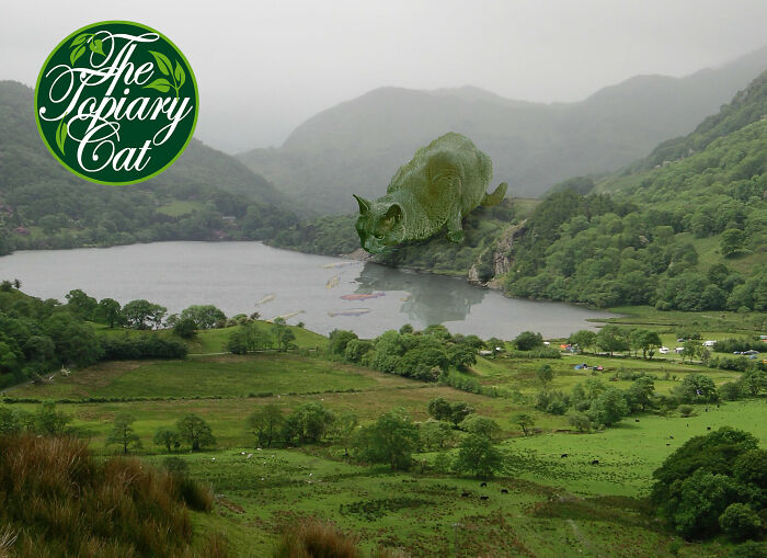 This 75-Year-Old Artist Creates Edits Of Bushes In Honor Of His Deceased Cat