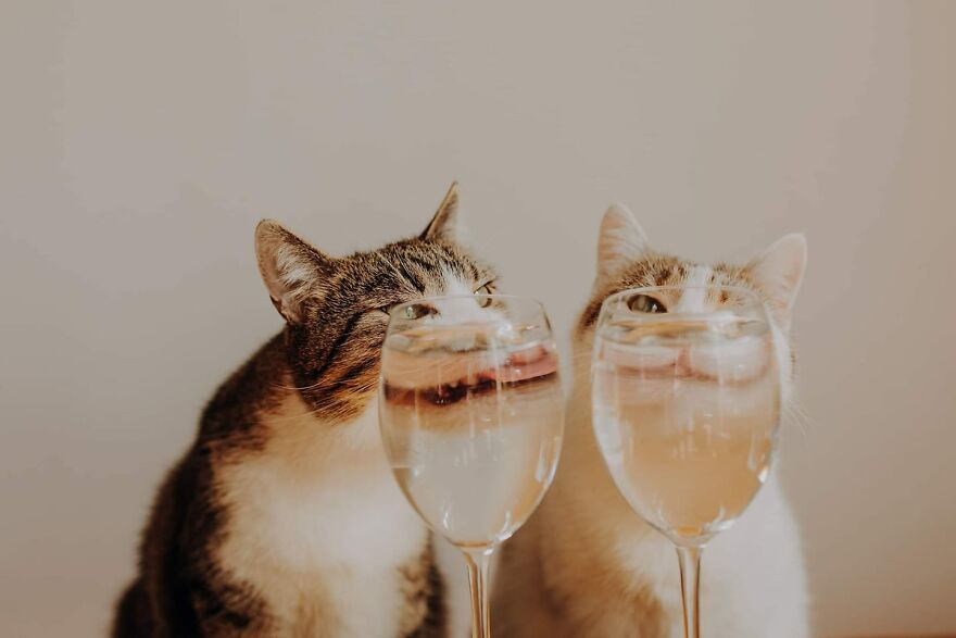 I Capture Beautiful Emotions Of My Two Favorite Models