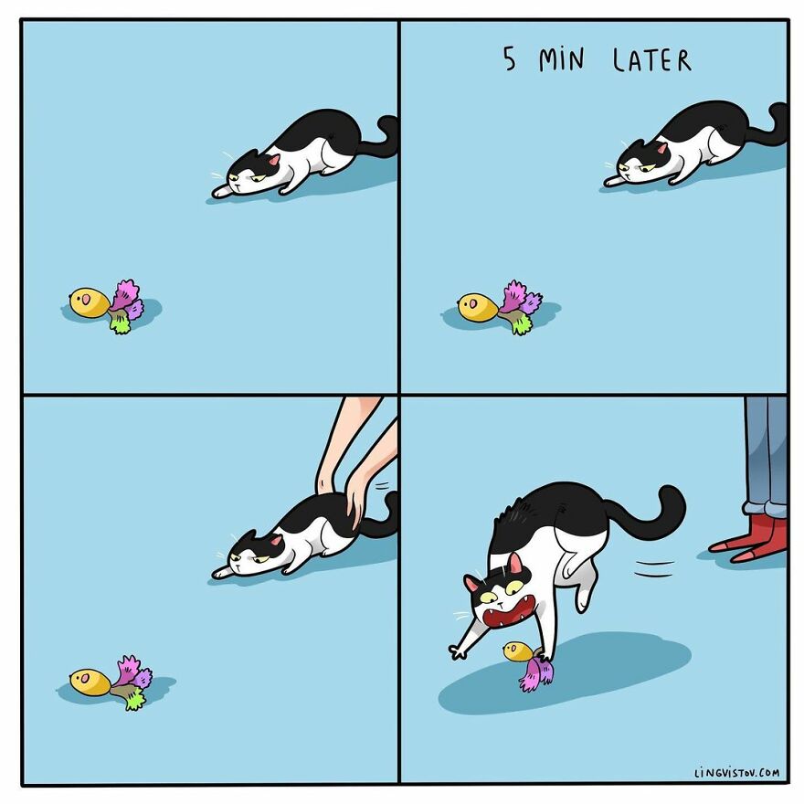 Comics That Those With A Cat Will Understand Perfectly (86 New Pics)