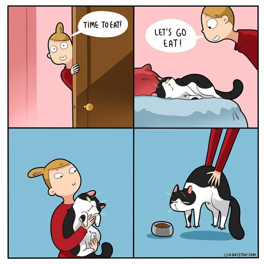 Comics That Those With A Cat Will Understand Perfectly (86 New Pics)