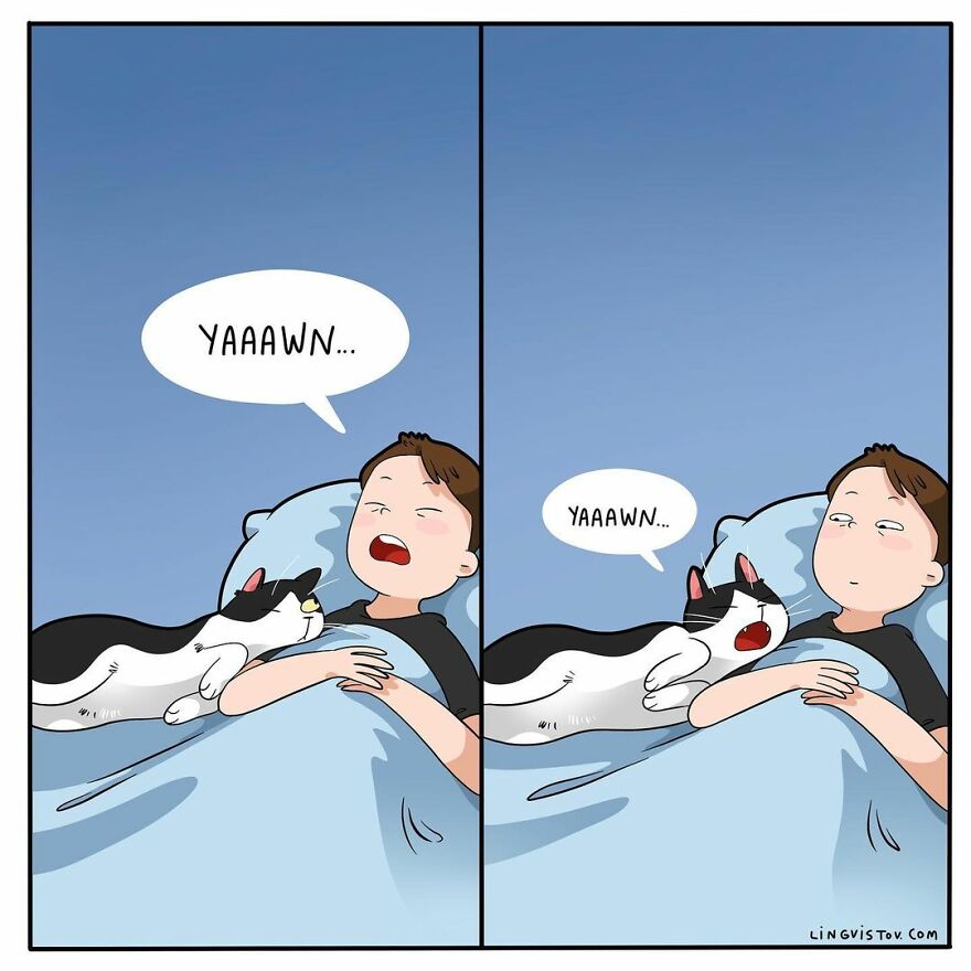 Comics That Those With A Cat Will Understand Perfectly (86 New Pics)