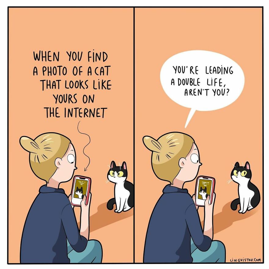 Comics That Those With A Cat Will Understand Perfectly (86 New Pics)