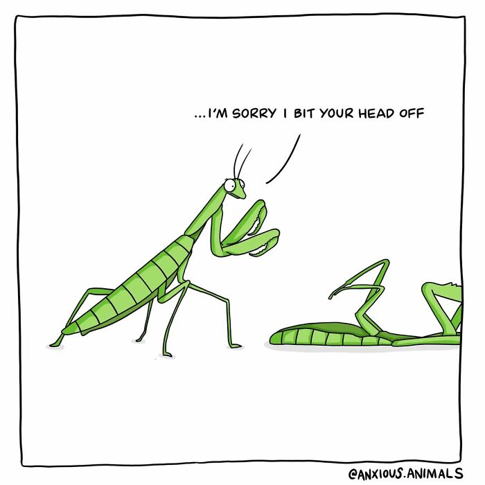 30 Funny And Relatable "Anxious Animals" Comics