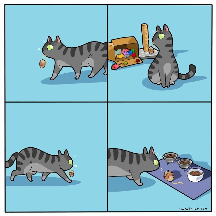 Comics That Those With A Cat Will Understand Perfectly (86 New Pics)