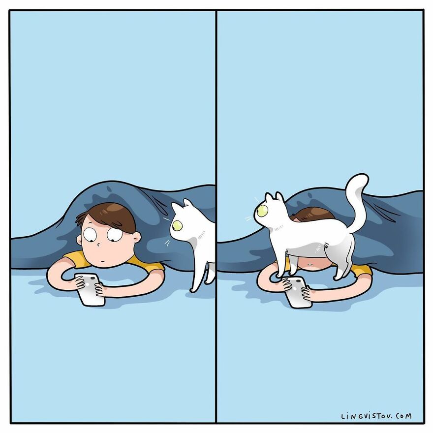 Comics That Those With A Cat Will Understand Perfectly (86 New Pics)