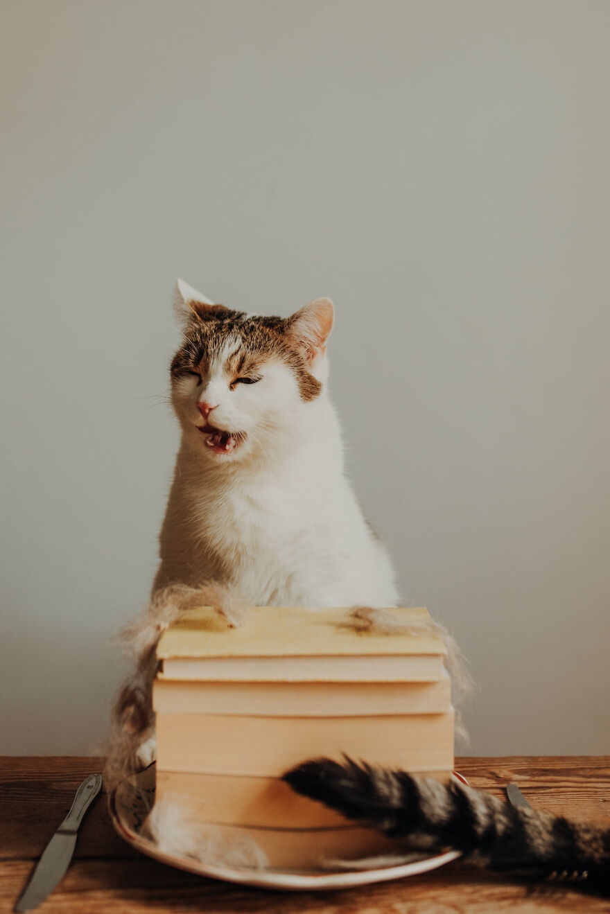 I Capture Beautiful Emotions Of My Two Favorite Models