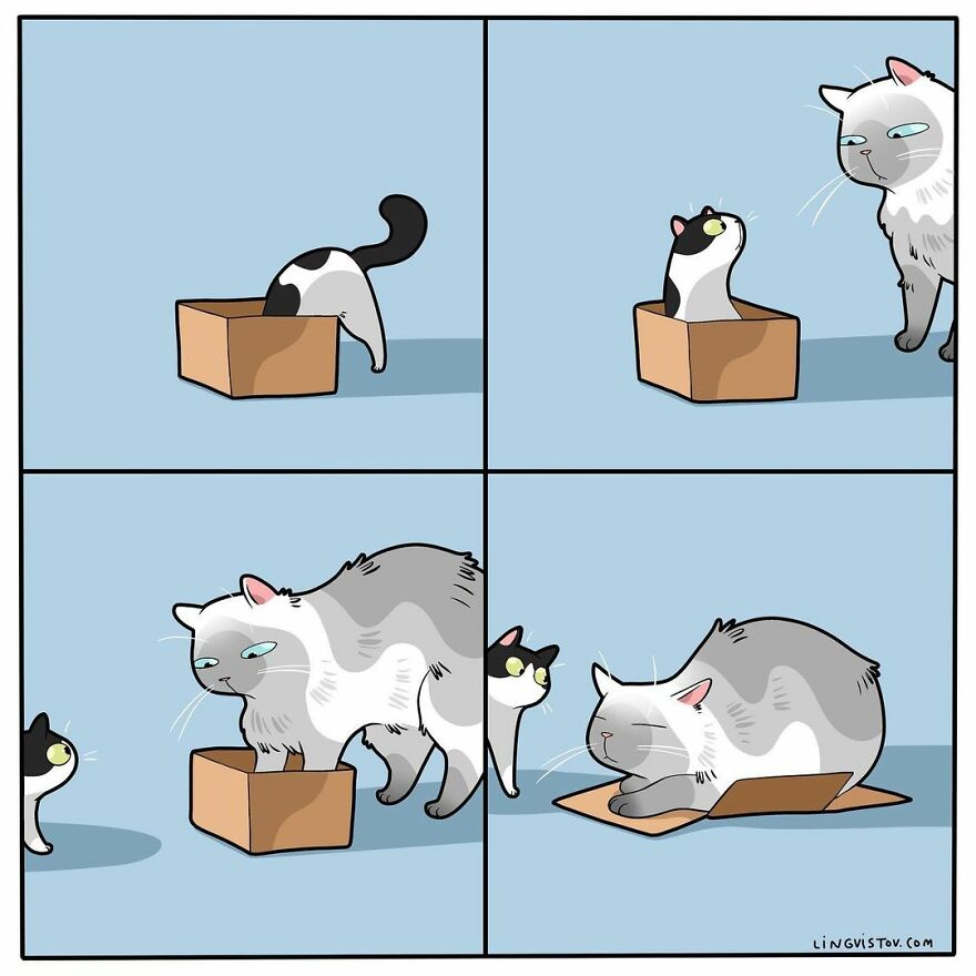 Comics That Those With A Cat Will Understand Perfectly (86 New Pics)