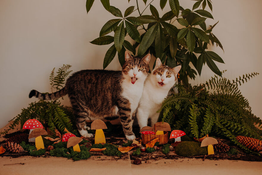 I Capture Beautiful Emotions Of My Two Favorite Models