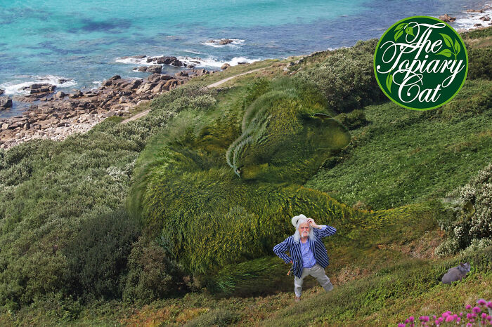 This 75-Year-Old Artist Creates Edits Of Bushes In Honor Of His Deceased Cat