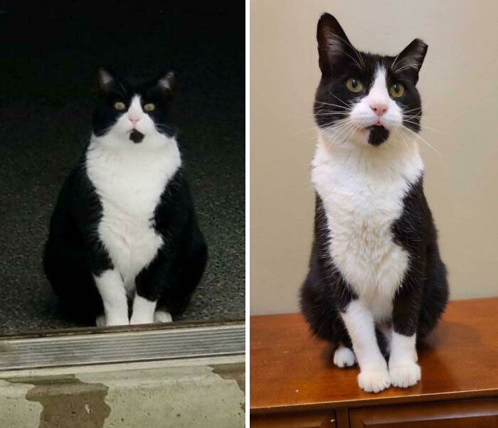 ¡Mi hombre guapo, hace 7 meses y en el día de hoy!