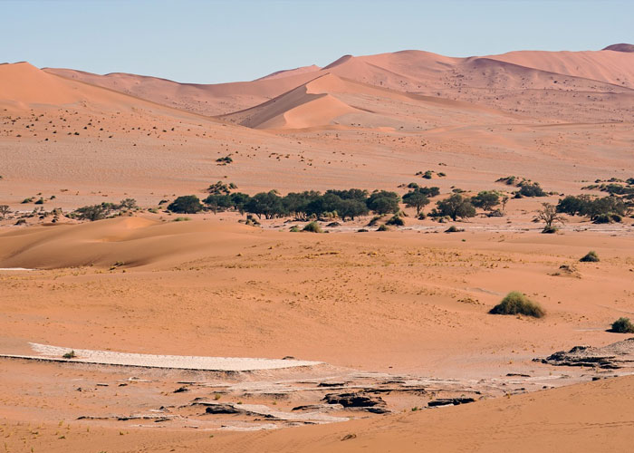 "Hoy aprendí": 30 datos que demuestran que nunca es tarde para aprender (nuevas imágenes)