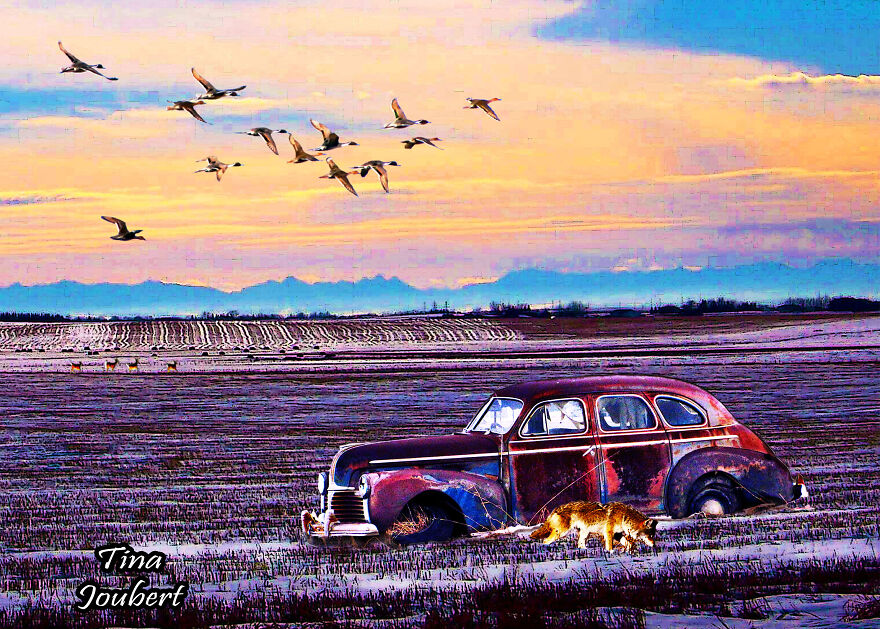 More Recent Road Trips In And Around Calgary Alberta