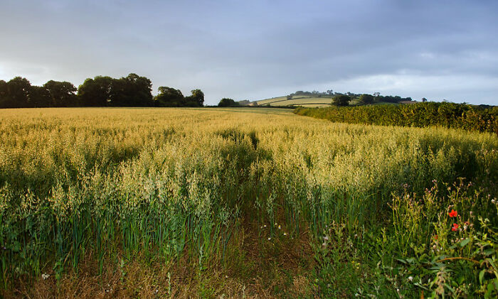 "It Gets Better": 30 Lies People In This Online Group Convinced Themselves To Believe In To Feel Better About Life