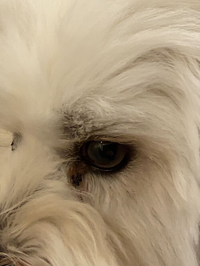 He Doesn’t Know How To Pose For A Pic