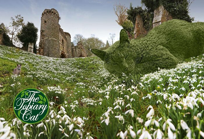 This 75-Year-Old Artist Creates Edits Of Bushes In Honor Of His Deceased Cat