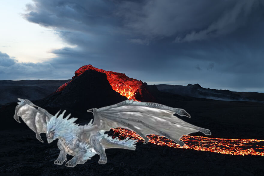 I Edited Animals In Places They Don't Belong In