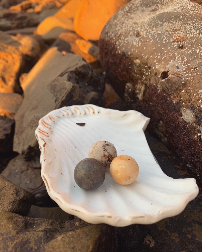 Antique beach treasure including three worn marbles resting on a white shell among rocks at sunset.