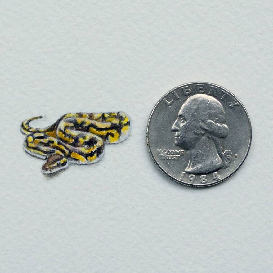 I Want You To Stop And Appreciate The Little Things In Life So I Create Miniature Paintings