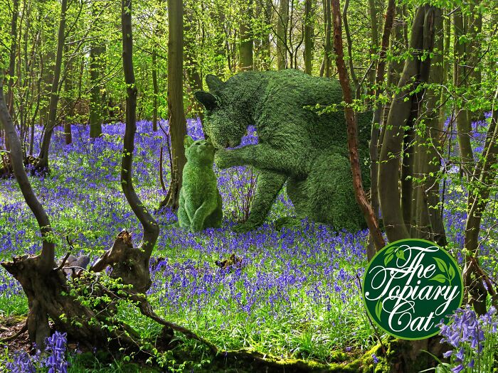 This 75-Year-Old Artist Creates Edits Of Bushes In Honor Of His Deceased Cat