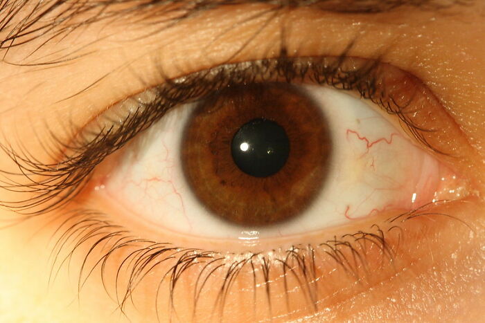 Close-up of a human eye with detailed iris and eyelashes, illustrating the concept of avoiding a huge tactical nuke.