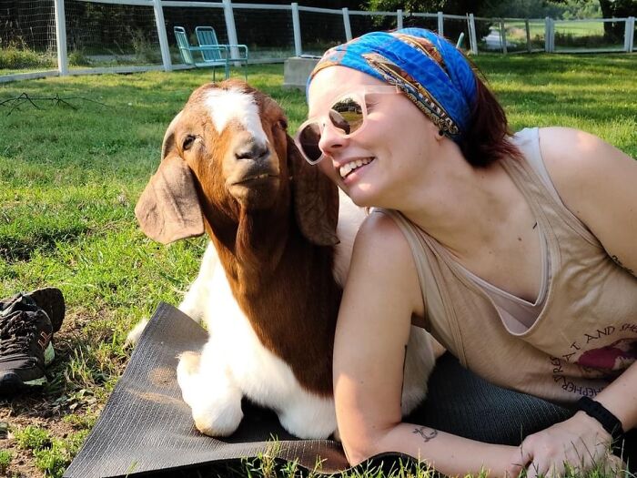 A New Kind Of Animal Rescue: Check Out These Cute Goats And Sheep