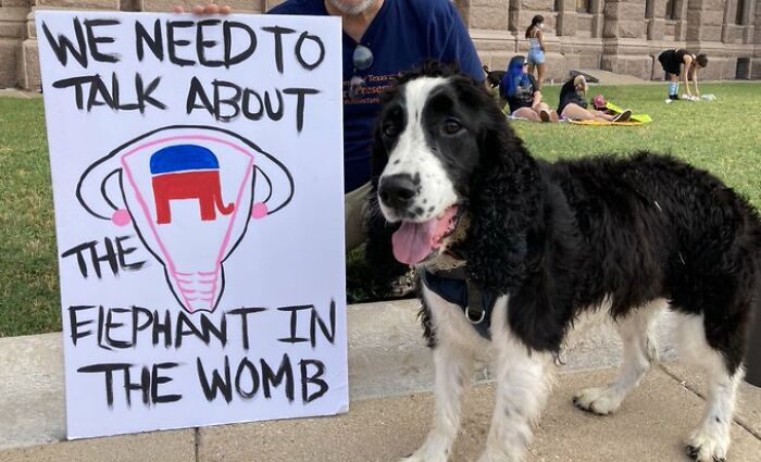 Abortion-Law-Signs-Demonstrations