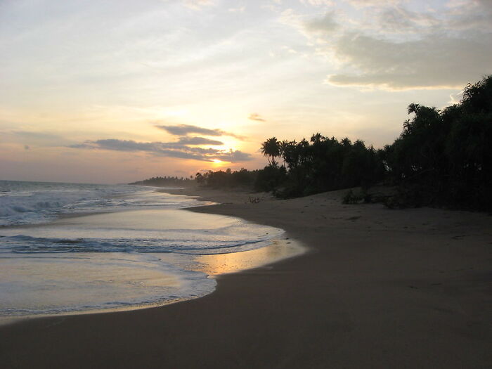 calm beach at sunset with gentle waves and silhouetted palm trees along the shore reflecting peaceful atmosphere